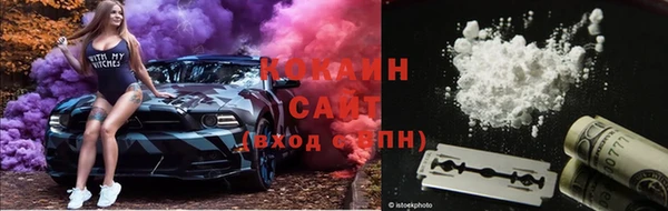 mix Бородино