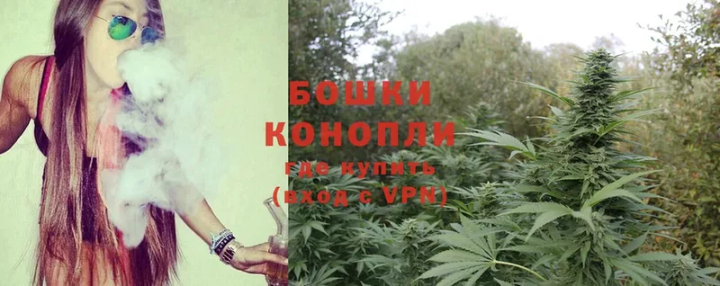 магазин продажи   мега как войти  Конопля SATIVA & INDICA  Саратов 